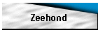 Zeehond