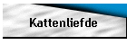 Kattenliefde