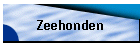 Zeehonden