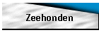 Zeehonden